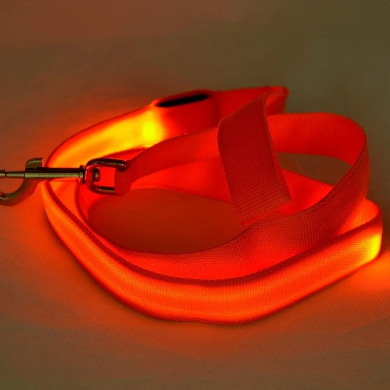 Correa Glow Night – Caminatas con onda y visibilidad total - Solo correa