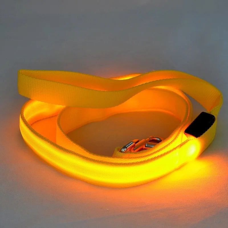 Correa Glow Night – Caminatas con onda y visibilidad total - Solo correa