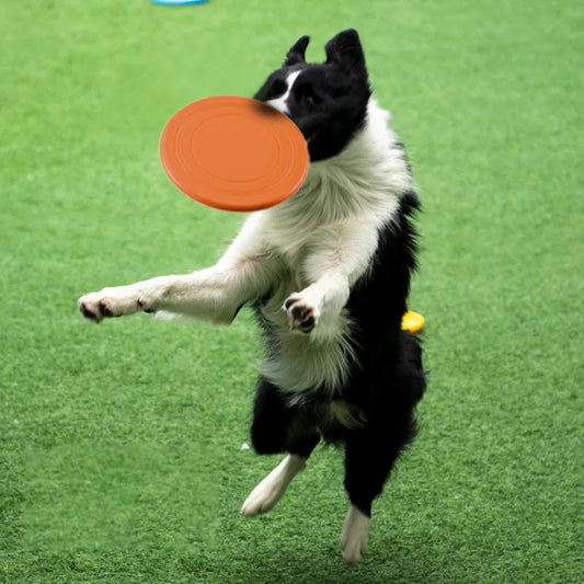 Frisbee Perruno “Atrápame Si Podés”