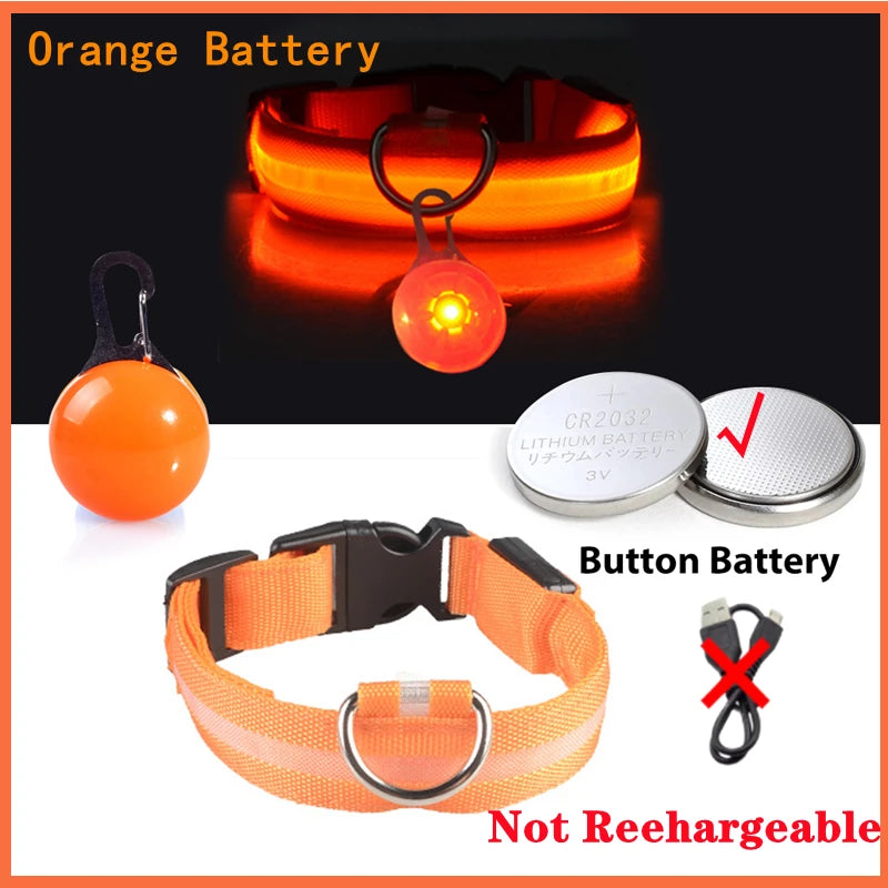 Collar “PataFlash” – Seguridad nocturna con estilo brillante 💡🐶