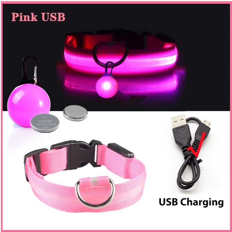 Collar “PataFlash” – Seguridad nocturna con estilo brillante 💡🐶