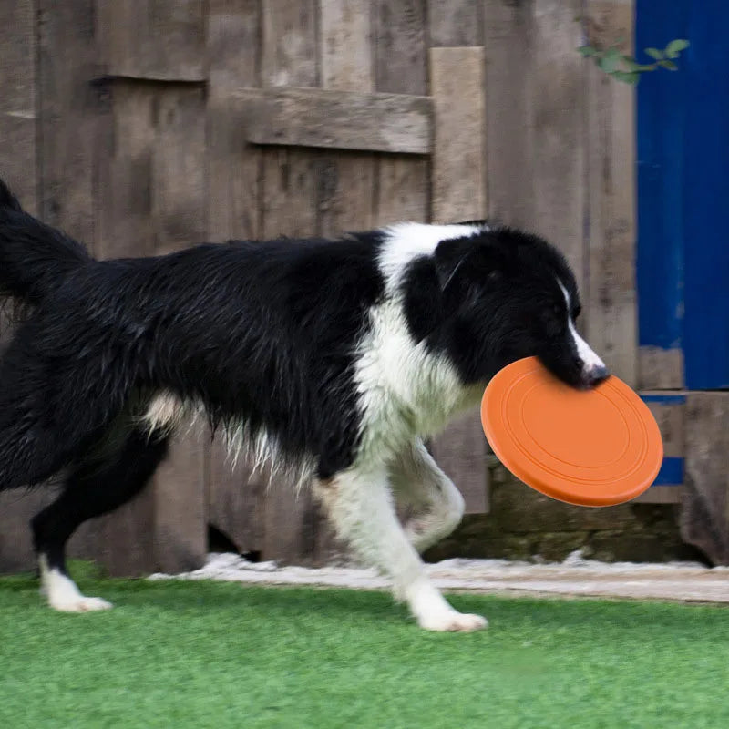 Frisbee Perruno “Atrápame Si Podés”