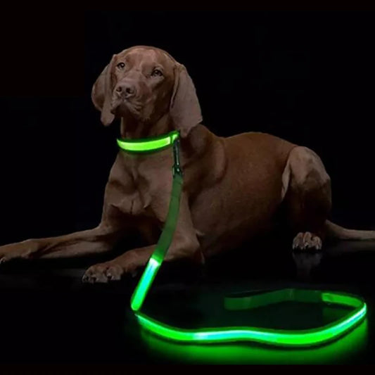 Correa Glow Night – Caminatas con onda y visibilidad total - Solo correa