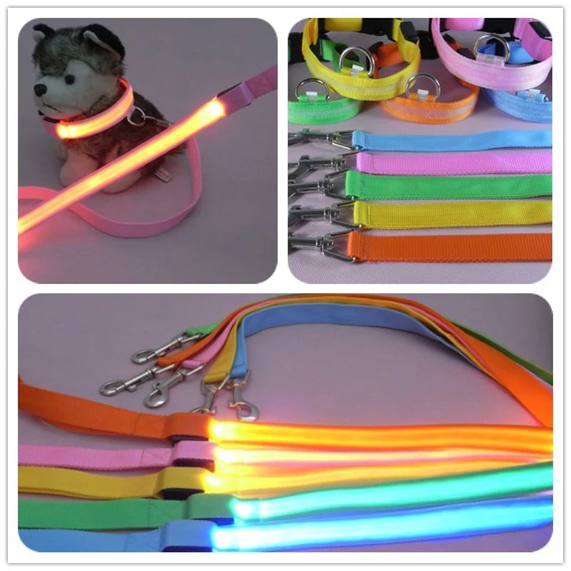 Correa Glow Night – Caminatas con onda y visibilidad total - Solo correa
