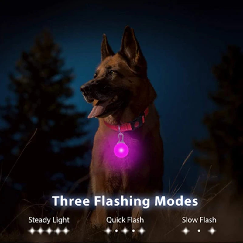 Collar “PataFlash” – Seguridad nocturna con estilo brillante 💡🐶