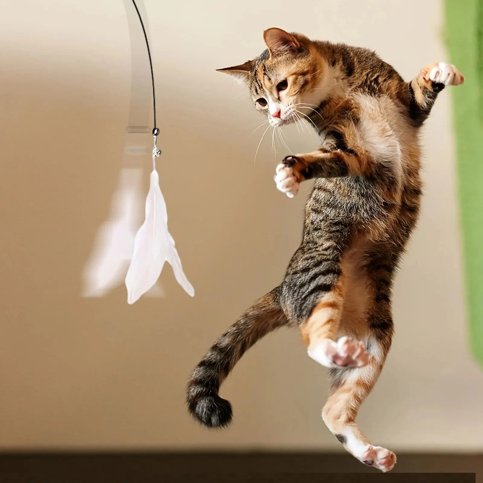 Juguete Caza-Plumas para Gatos – Con ventosa y campanita incluida