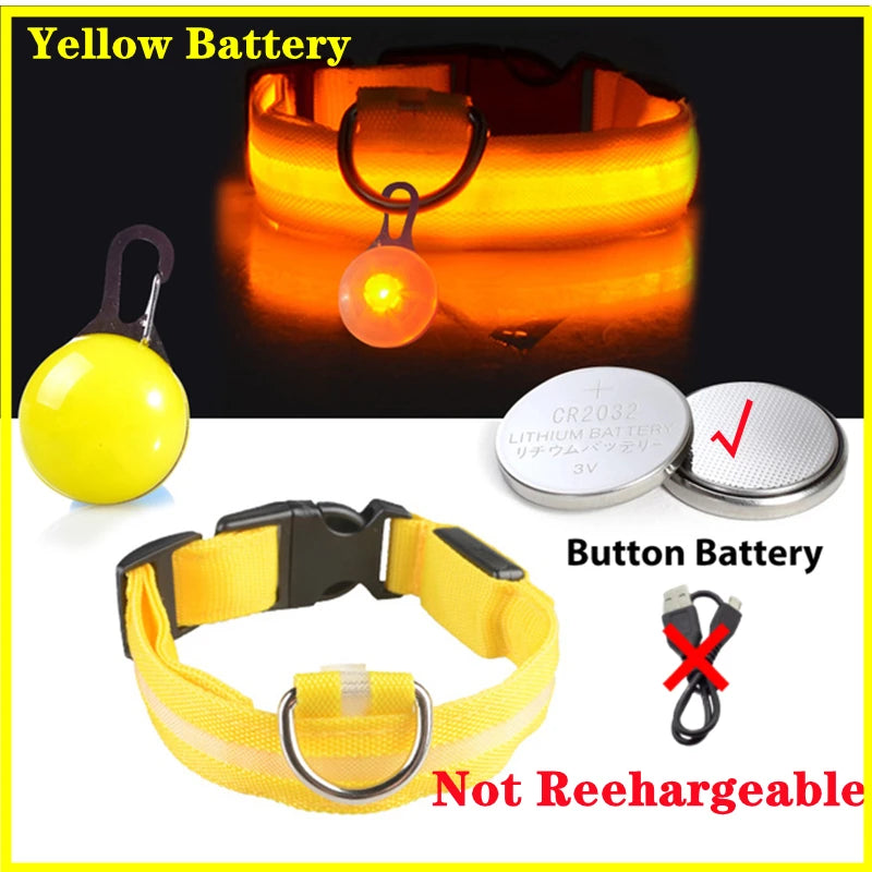 Collar “PataFlash” – Seguridad nocturna con estilo brillante 💡🐶