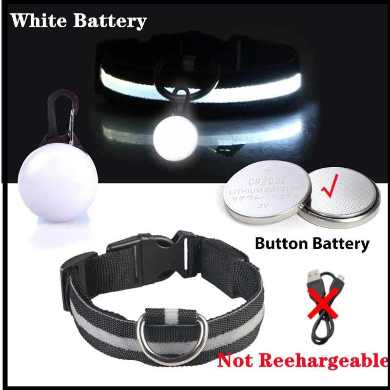 Collar “PataFlash” – Seguridad nocturna con estilo brillante 💡🐶