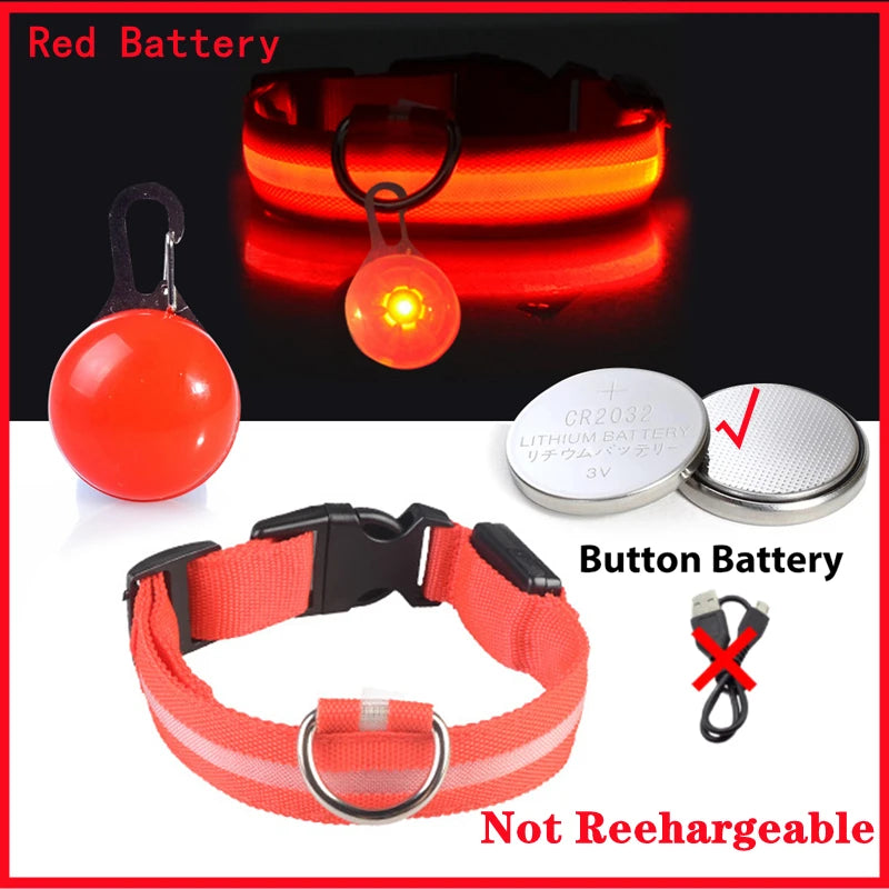 Collar “PataFlash” – Seguridad nocturna con estilo brillante 💡🐶