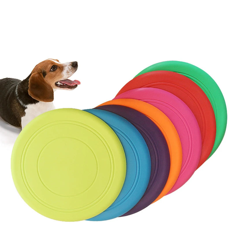 Frisbee Perruno “Atrápame Si Podés”