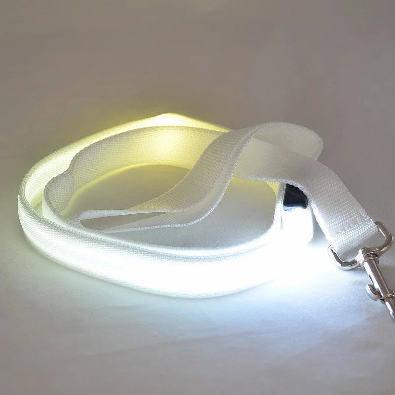 Correa Glow Night – Caminatas con onda y visibilidad total - Solo correa