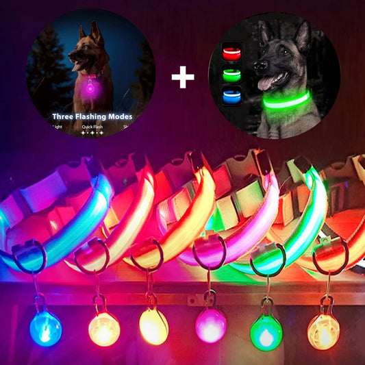 Collar “PataFlash” – Seguridad nocturna con estilo brillante 💡🐶