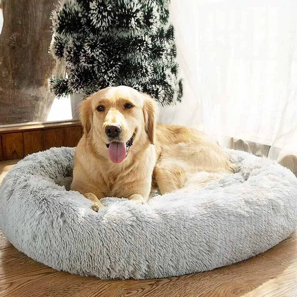 Cama Donut de Felpa – El lugar favorito de tu michi o perri
