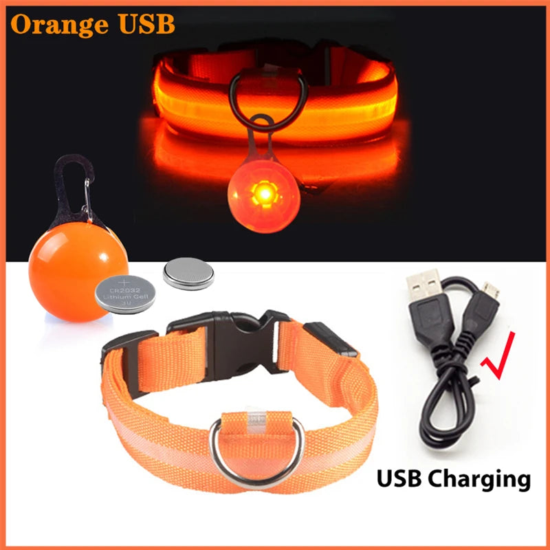 Collar “PataFlash” – Seguridad nocturna con estilo brillante 💡🐶