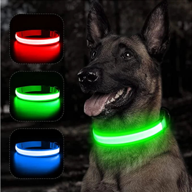 Collar “PataFlash” – Seguridad nocturna con estilo brillante 💡🐶