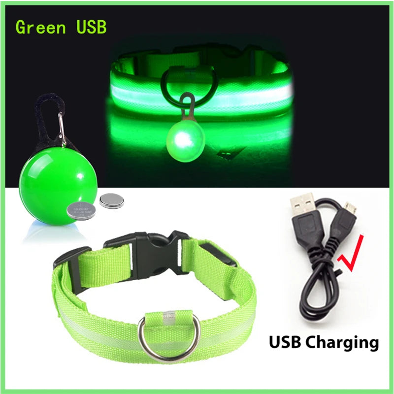 Collar “PataFlash” – Seguridad nocturna con estilo brillante 💡🐶