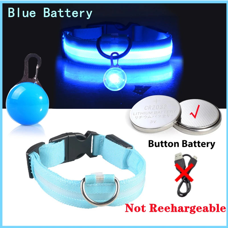Collar “PataFlash” – Seguridad nocturna con estilo brillante 💡🐶