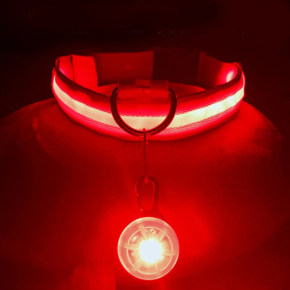 Collar “PataFlash” – Seguridad nocturna con estilo brillante 💡🐶
